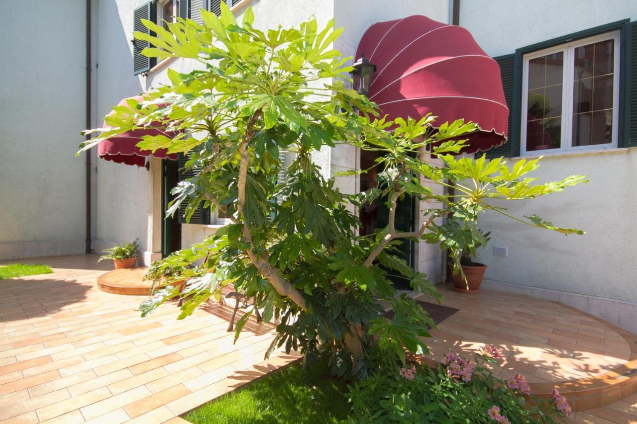 Villa Sveta Eufemija Bed End Breakfast I 로비니 외부 사진