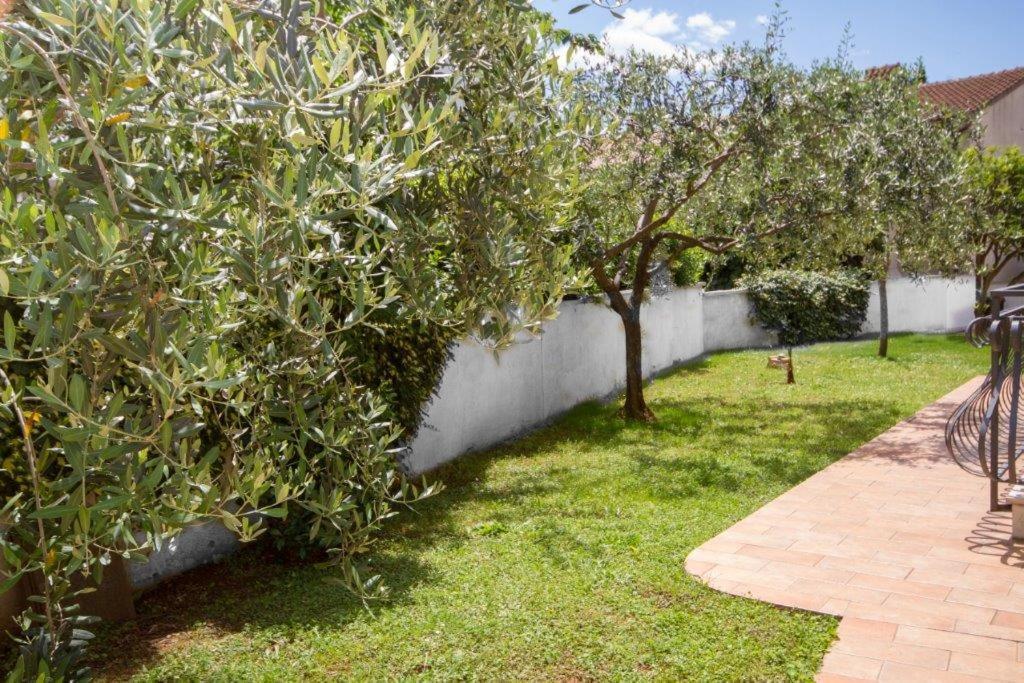 Villa Sveta Eufemija Bed End Breakfast I 로비니 외부 사진